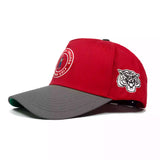 The Alumni Hat