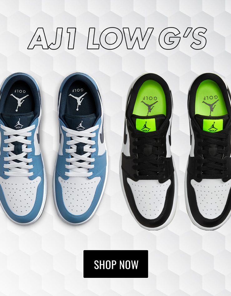 aj 1 low g