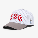 Pinstripe 5 Panel Hat