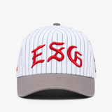 Pinstripe 5 Panel Hat