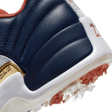 Air Jordan 12 Low Retro